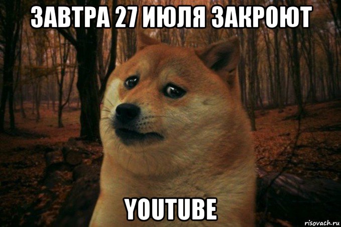 завтра 27 июля закроют youtube, Мем SAD DOGE