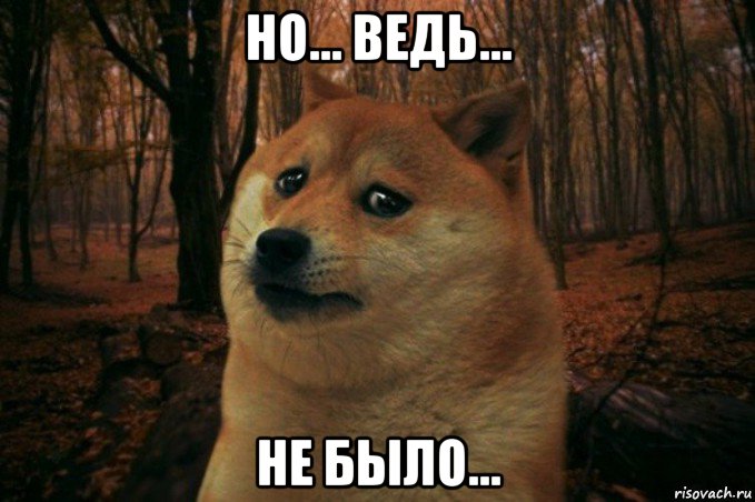 но... ведь... не было..., Мем SAD DOGE