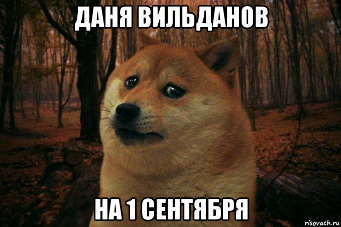 даня вильданов на 1 сентября, Мем SAD DOGE