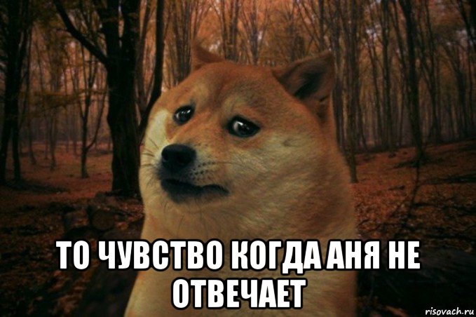  то чувство когда аня не отвечает, Мем SAD DOGE