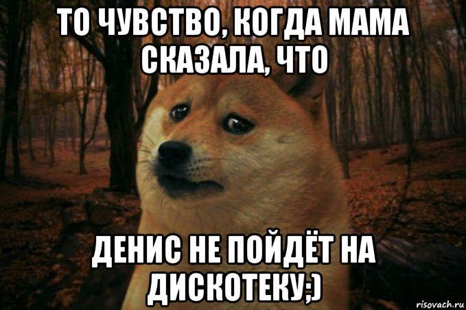 то чувство, когда мама сказала, что денис не пойдёт на дискотеку;), Мем SAD DOGE