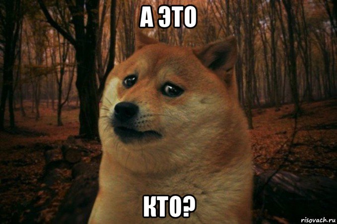 а это кто?, Мем SAD DOGE