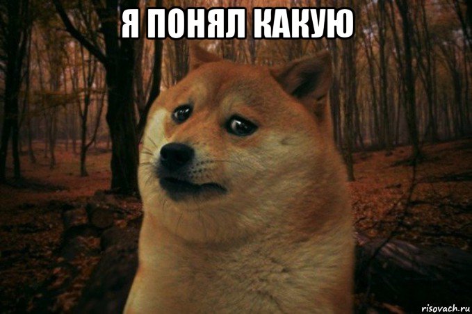 я понял какую , Мем SAD DOGE