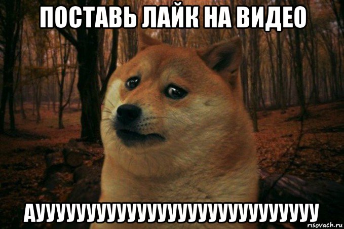 поставь лайк на видео ауууууууууууууууууууууууууууу, Мем SAD DOGE