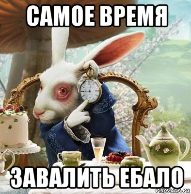 самое время завалить ебало