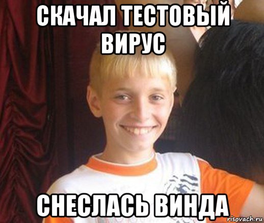 скачал тестовый вирус снеслась винда