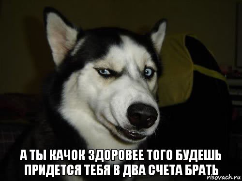 А ты качок здоровее того будешь придется тебя в два счета брать, Комикс  Собака подозревака