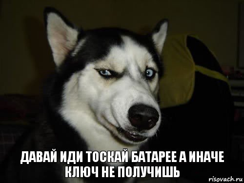 Давай иди тоскай батарее а иначе ключ не получишь, Комикс  Собака подозревака