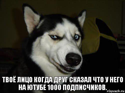 Твоё лицо когда друг сказал что у него на Ютубе 1000 подписчиков., Комикс  Собака подозревака