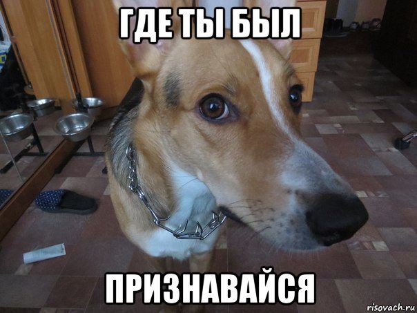где ты был признавайся