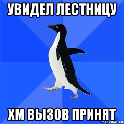 увидел лестницу хм вызов принят, Мем  Социально-неуклюжий пингвин