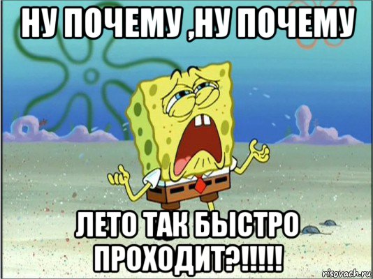 ну почему ,ну почему лето так быстро проходит?!!!!!, Мем Спанч Боб плачет