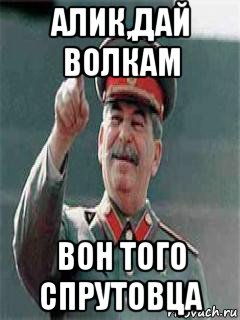 алик,дай волкам вон того спрутовца