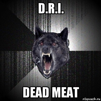d.r.i. dead meat, Мем Сумасшедший волк