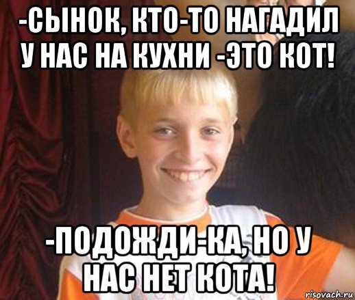 -сынок, кто-то нагадил у нас на кухни -это кот! -подожди-ка, но у нас нет кота!, Мем Типичный школьник