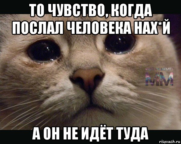 то чувство, когда послал человека нах*й а он не идёт туда