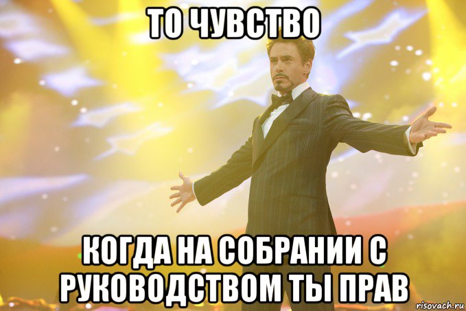 то чувство когда на собрании с руководством ты прав, Мем Тони Старк (Роберт Дауни младший)