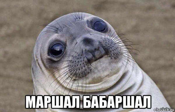  маршал бабаршал