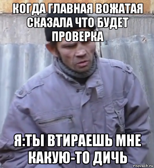 когда главная вожатая сказала что будет проверка я:ты втираешь мне какую-то дичь, Мем  Ты втираешь мне какую то дичь