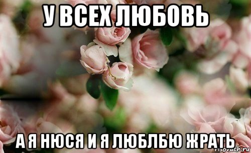 у всех любовь а я нюся и я люблбю жрать