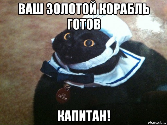 ваш золотой корабль готов капитан!