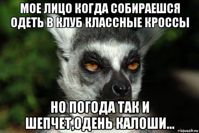 мое лицо когда собираешся одеть в клуб классные кроссы но погода так и шепчет,одень калоши..., Мем   Я збагоен