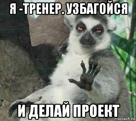 я -тренер. узбагойся и делай проект