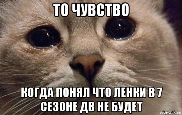 то чувство когда понял что ленки в 7 сезоне дв не будет, Мем   В мире грустит один котик