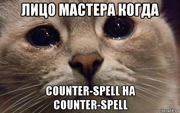 лицо мастера когда counter-spell на counter-spell, Мем   В мире грустит один котик