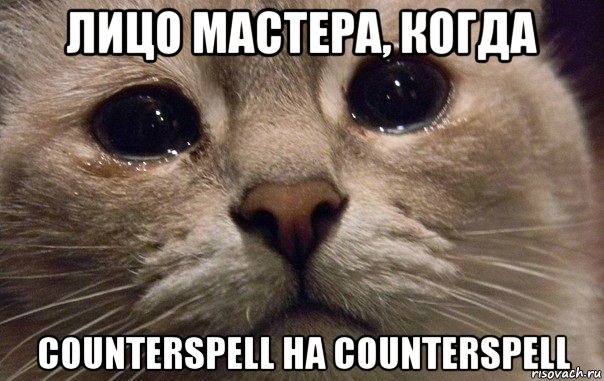 лицо мастера, когда counterspell на counterspell, Мем   В мире грустит один котик