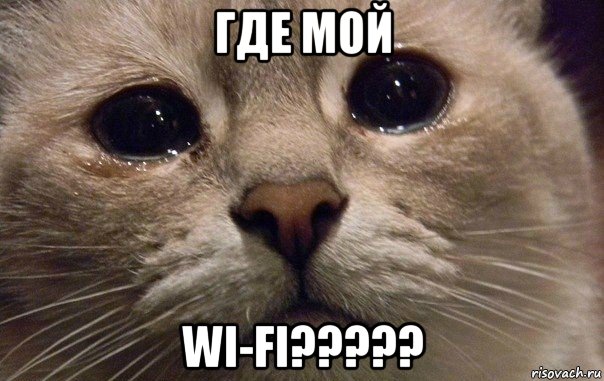 где мой wi-fi?????, Мем   В мире грустит один котик