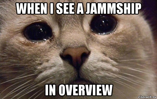 when i see a jammship in overview, Мем   В мире грустит один котик