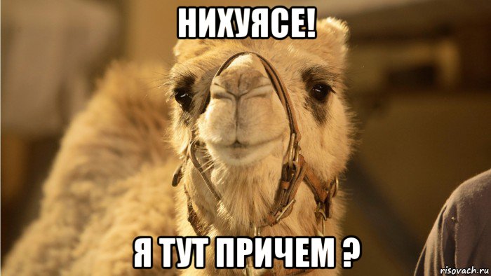 нихуясе! я тут причем ?