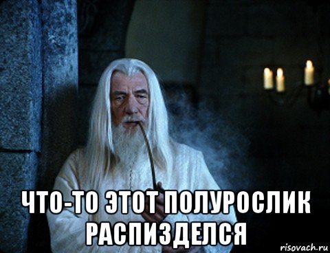  что-то этот полурослик распизделся, Мем властелин колец