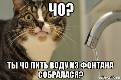 чо? ты чо пить воду из фонтана собралася?, Мем вода с крана