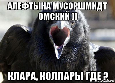 алефтына мусоршмидт омский )) клара, коллары где ?, Мем ворона