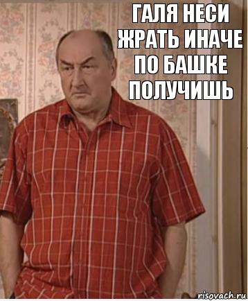 Галя неси жрать иначе по башке получишь, Комикс Николай Петрович Воронин