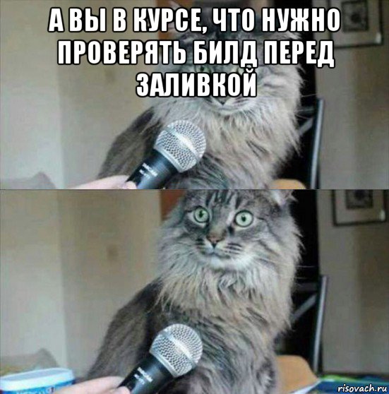 а вы в курсе, что нужно проверять билд перед заливкой 