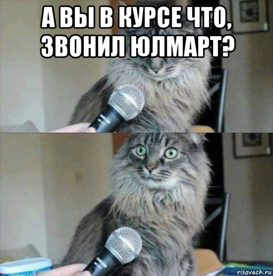 а вы в курсе что, звонил юлмарт? 