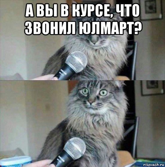 а вы в курсе, что звонил юлмарт? 