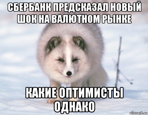 сбербанк предсказал новый шок на валютном рынке какие оптимисты однако