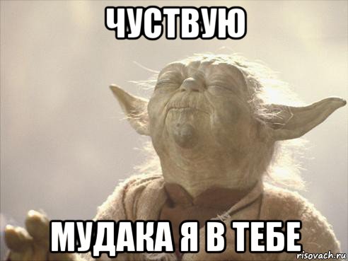 чуствую мудака я в тебе