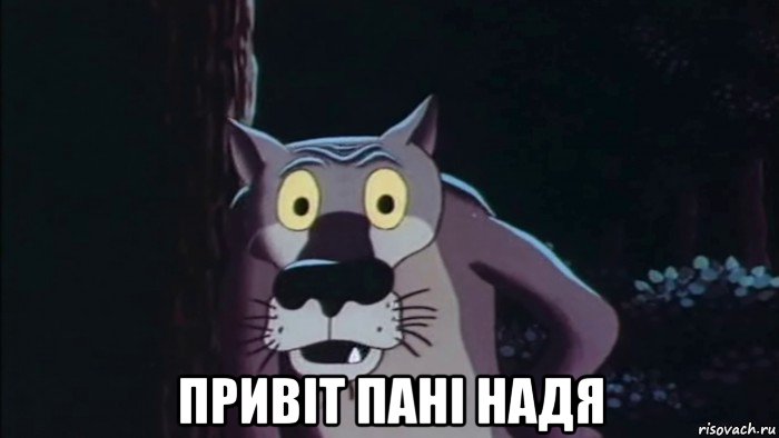  привіт пані надя