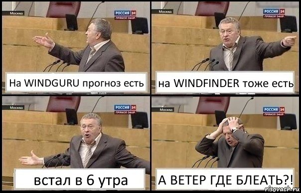 На WINDGURU прогноз есть на WINDFINDER тоже есть встал в 6 утра А ВЕТЕР ГДЕ БЛЕАТЬ?!, Комикс Жирик в шоке хватается за голову