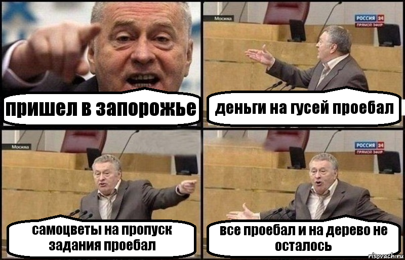 пришел в запорожье деньги на гусей проебал самоцветы на пропуск задания проебал все проебал и на дерево не осталось, Комикс Жириновский