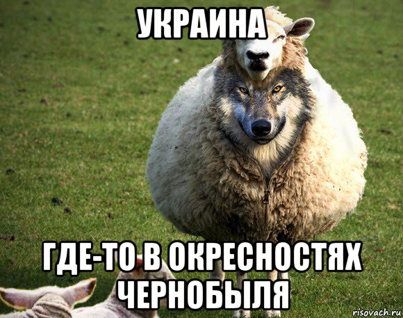 украина где-то в окресностях чернобыля, Мем Злая Овца