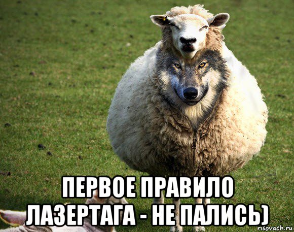  первое правило лазертага - не пались), Мем Злая Овца