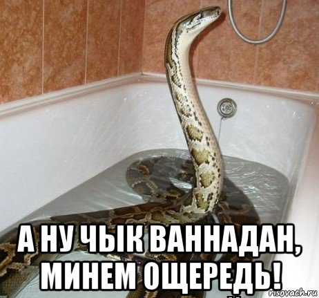  а ну чык ваннадан, минем ощередь!