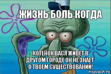 Жизнь Боль когда Котенок Вася живет в другом городе он не знает о твоем существований!