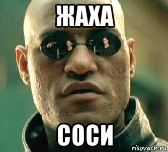 жаха соси